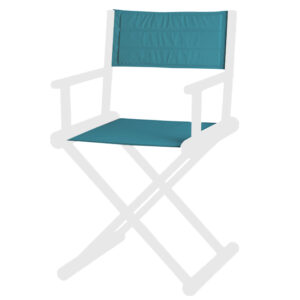 Canvas replacement director chair